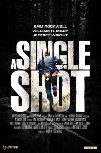     / A Single Shot / [2013] 