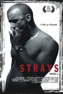  Strays 1997    