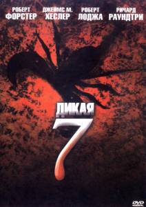 ����� ������� 2006 ������ ���� �� ������