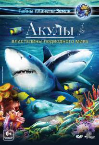  3D:    / Sharks 3D: Kings of the Ocean / [2013]   