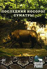    Animal Planet:    () Animal Planet: The Last Rhino (2002) 