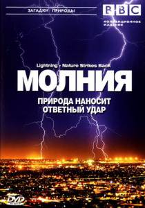     BBC: .     () Lightning - Nature Strikes Back (2004)