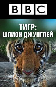 BBC: Тигр – Шпион джунглей (мини-сериал) 2008 онлайн кадр из фильма