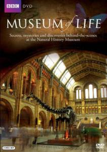   Museum of Life () - Museum of Life () - [2010 (1 )]