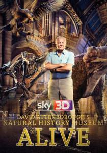       () - David Attenborough's Natural History Museum Alive - 2014    