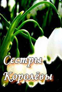 ������ �������� (������) ������ ����� ���������