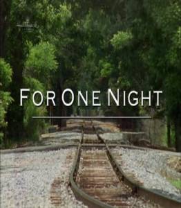     () - For One Night - 2006   
