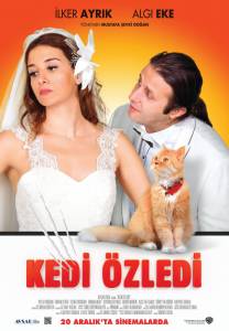     Kedi zledi (2013)   