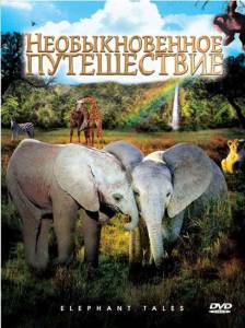 Смотреть кинофильм Необыкновенное путешествие: История про двух слонят бесплатно онлайн