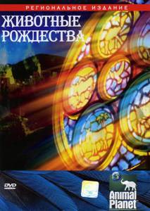 �������� ��������� 2002 ������ ���� �� ������