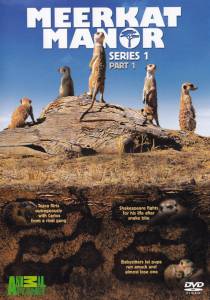     ( 2005  2008) - Meerkat Manor  