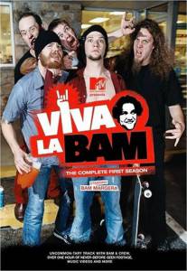       ( 2003  2005) Viva la Bam