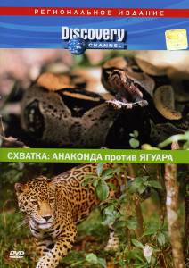 Фильм онлайн Discovery. Схватка: Анаконда против ягуара (видео) - 2004 Фильм онлайн Discovery. Схватка: Анаконда против ягуара (видео) - 2004