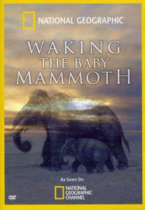 ������ ���� ���������: ��������� �� ������� (��) Waking the Baby Mammoth 2009