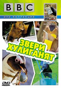   BBC:   () / Animals Behaving Badly / (2004)   HD