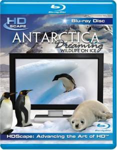         - Antarctica Dreaming - WildLife On Ice   HD