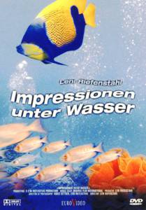     / Impressionen unter Wasser / 2002