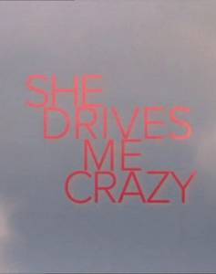        () - She Drives Me Crazy - 2007
