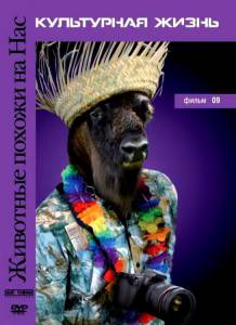 �������� ������ �� ��� (������ 2004 � 2006) 2004 ������ ���� �� ������