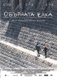     - Obarnata elha - (2006) 