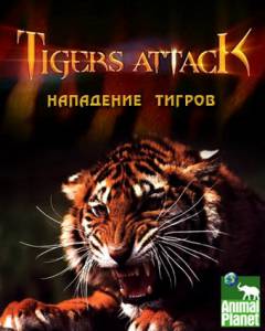     () - Tigers Attack 