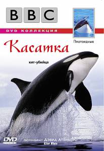    BBC:  () / Killer Whale / [2003] 