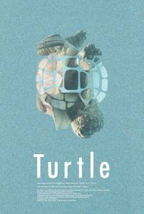  / Turtle / 2014   