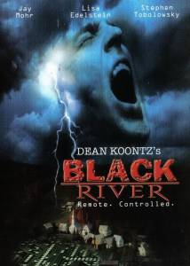     () / Black River 