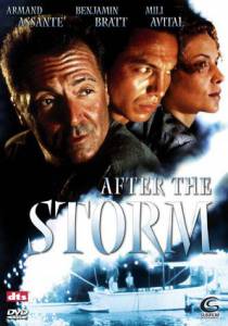     () - After the Storm - 2001  