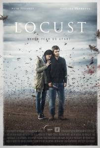 ���� ������� 2013 �������� ������