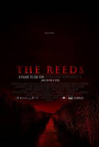     / The Reeds 