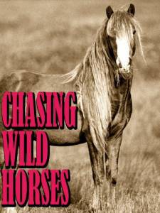       - Chasing Wild Horses 