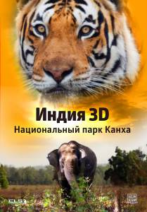    3D:    / India 3D: Kanha National Park  