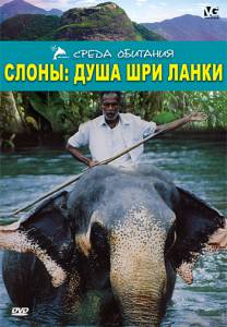 Смотреть онлайн Слоны: Душа Шри-Ланки - Elephants: Soul of Sri Lanka - (2000)