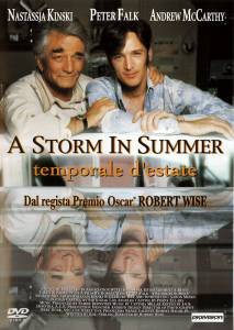    () - A Storm in Summer 