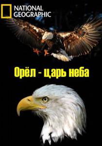 �������� ����� ��� � ���� ���� The Eagles 2014 ���������