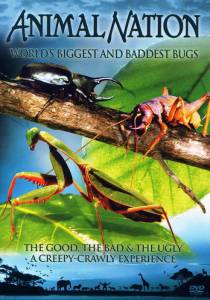          () - World's Biggest and Baddest Bugs - (2009) 