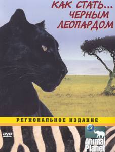 Animal Planet:  ... ( 2003  2007) - Growing Up Wild - (2003 (1 ))   