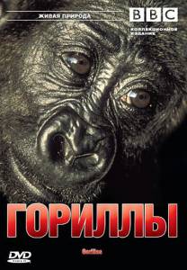    BBC:  () / Wildlife Special: Gorillas / 2002 