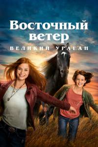 онлайн кадр Восточный ветер. Великий ураган (2021) 2021 онлайн кадр из фильма