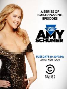       ( 2013  ...) - Inside Amy Schumer