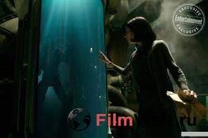      / The Shape of Water / (2017)