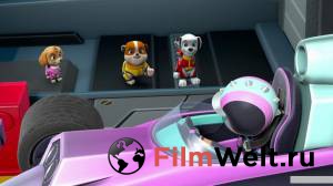     :     () / Paw Patrol: Ready, Race, Rescue!