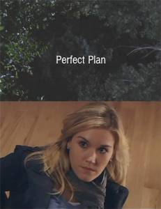    () - Perfect Plan   